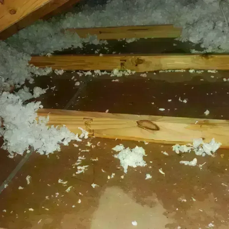 Attic Water Damage in Red Bank, TN